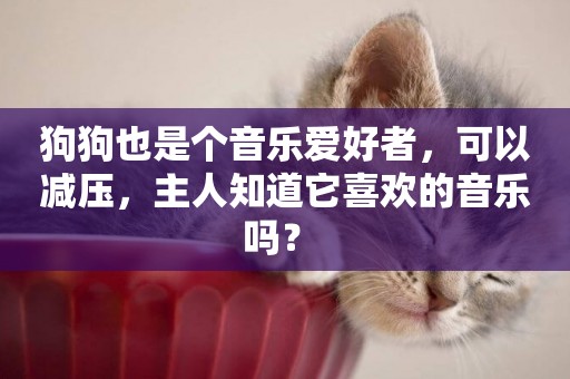 狗狗也是個音樂愛好者，可以減壓，主人知道它喜歡的音樂嗎？ 