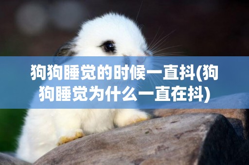 狗狗睡覺的時候一直抖(狗狗睡覺為什么一直在抖)