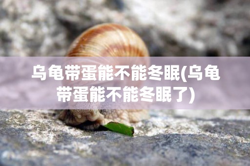 烏龜帶蛋能不能冬眠(烏龜帶蛋能不能冬眠了)