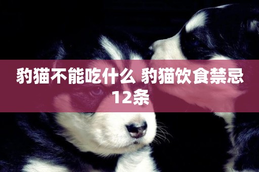 豹貓不能吃什么 豹貓飲食禁忌12條
