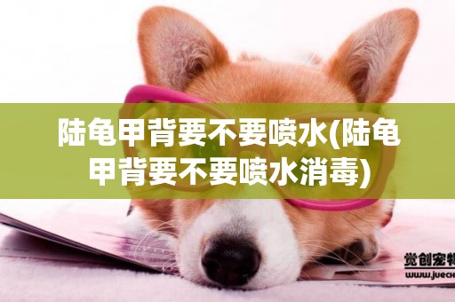 陸龜甲背要不要噴水(陸龜甲背要不要噴水消毒)