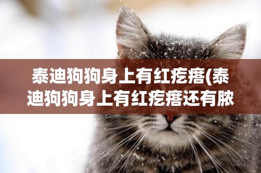 泰迪狗狗身上有紅疙瘩(泰迪狗狗身上有紅疙瘩還有膿包用什么藥)