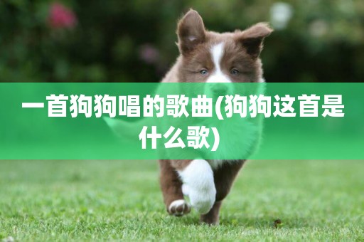 一首狗狗唱的歌曲(狗狗這首是什么歌) 