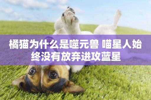 橘貓為什么是噬元獸 喵星人始終沒有放棄進攻藍星