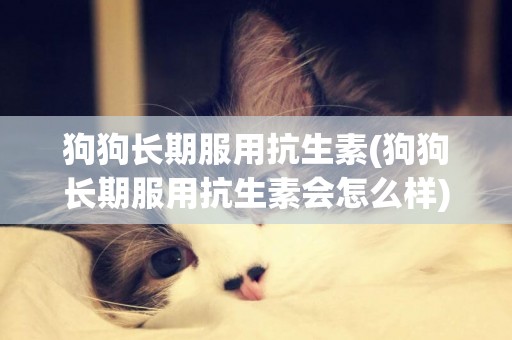 狗狗長期服用抗生素(狗狗長期服用抗生素會怎么樣)