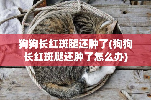 狗狗長紅斑腿還腫了(狗狗長紅斑腿還腫了怎么辦)