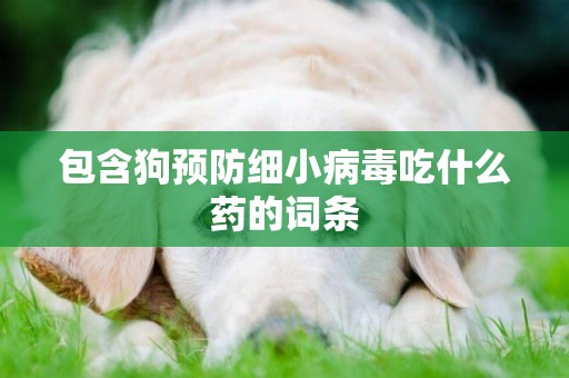 包含狗預防細小病毒吃什么藥的詞條