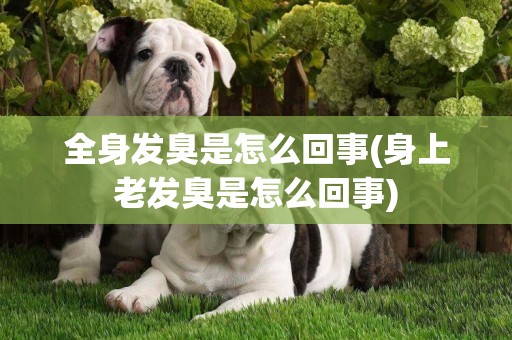全身發臭是怎么回事(身上老發臭是怎么回事)