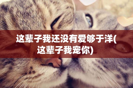 這輩子我還沒有愛夠于洋(這輩子我寵你) 