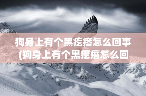 狗身上有個黑疙瘩怎么回事(狗身上有個黑疙瘩怎么回事兒)