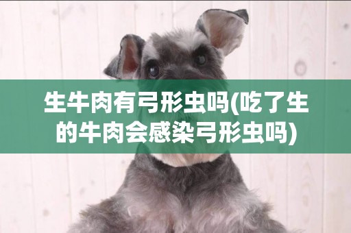 生牛肉有弓形蟲嗎(吃了生的牛肉會感染弓形蟲嗎)