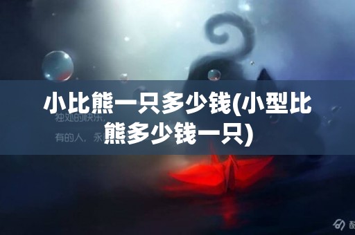 小比熊一只多少錢(小型比熊多少錢一只)