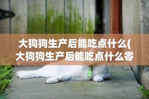 大狗狗生產后能吃點什么(大狗狗生產后能吃點什么零食)