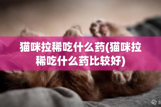 貓咪拉稀吃什么藥(貓咪拉稀吃什么藥比較好)