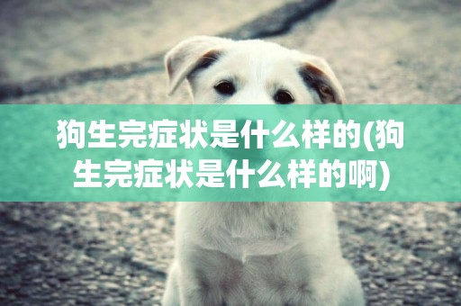 狗生完癥狀是什么樣的(狗生完癥狀是什么樣的啊)