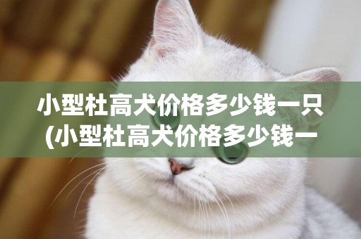 小型杜高犬價格多少錢一只(小型杜高犬價格多少錢一只幼犬)