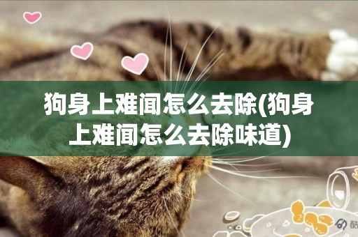 狗身上難聞怎么去除(狗身上難聞怎么去除味道)