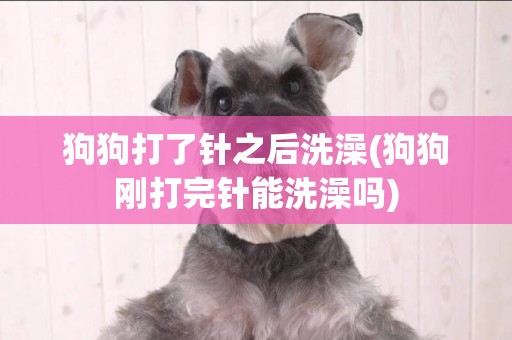 狗狗打了針之后洗澡(狗狗剛打完針能洗澡嗎)