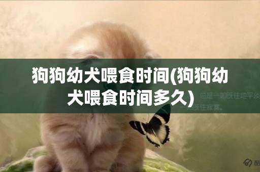 狗狗幼犬喂食時間(狗狗幼犬喂食時間多久)