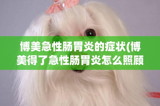 博美急性腸胃炎的癥狀(博美得了急性腸胃炎怎么照顧)