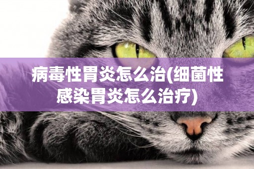 病毒性胃炎怎么治(細菌性感染胃炎怎么治療)