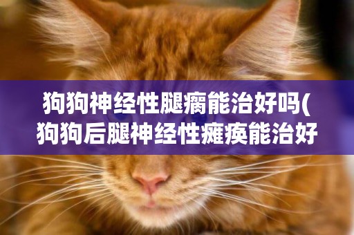 狗狗神經性腿瘸能治好嗎(狗狗后腿神經性癱瘓能治好嗎)