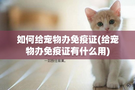 如何給寵物辦免疫證(給寵物辦免疫證有什么用)