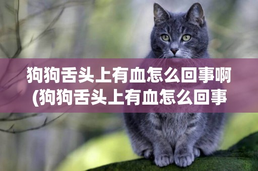 狗狗舌頭上有血怎么回事啊(狗狗舌頭上有血怎么回事啊吃什么藥)