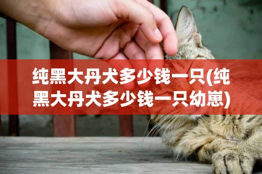 純黑大丹犬多少錢一只(純黑大丹犬多少錢一只幼崽)