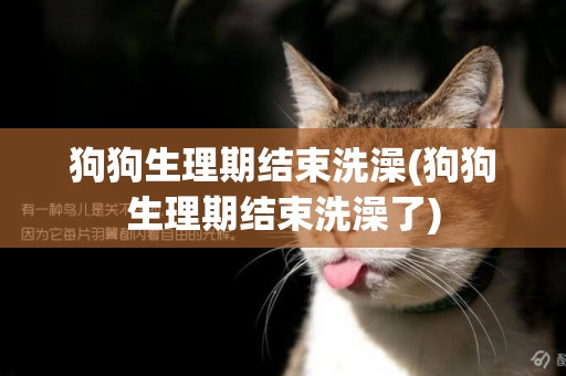 狗狗生理期結束洗澡(狗狗生理期結束洗澡了)
