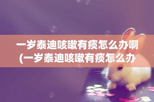 一歲泰迪咳嗽有痰怎么辦啊(一歲泰迪咳嗽有痰怎么辦啊吃什么藥)