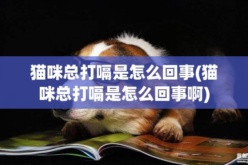 貓咪總打嗝是怎么回事(貓咪總打嗝是怎么回事啊)