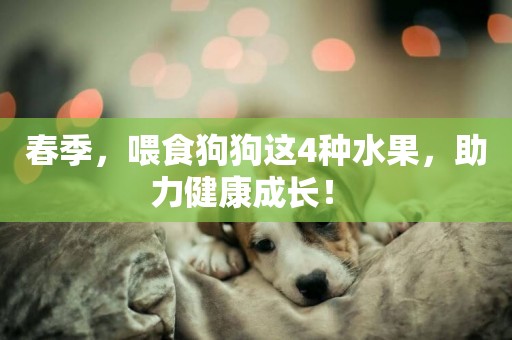 春季，喂食狗狗這4種水果，助力健康成長！ 