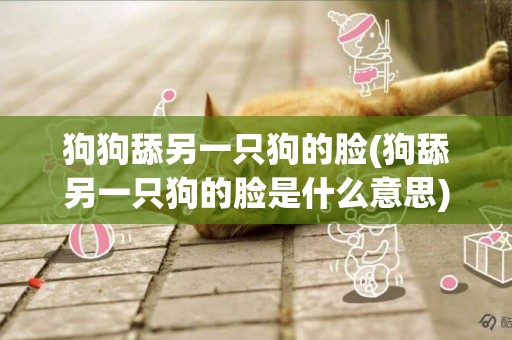 狗狗舔另一只狗的臉(狗舔另一只狗的臉是什么意思)
