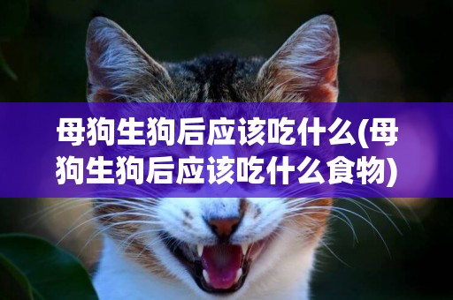 母狗生狗后應該吃什么(母狗生狗后應該吃什么食物)