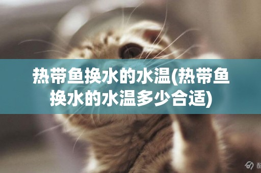 熱帶魚換水的水溫(熱帶魚換水的水溫多少合適)