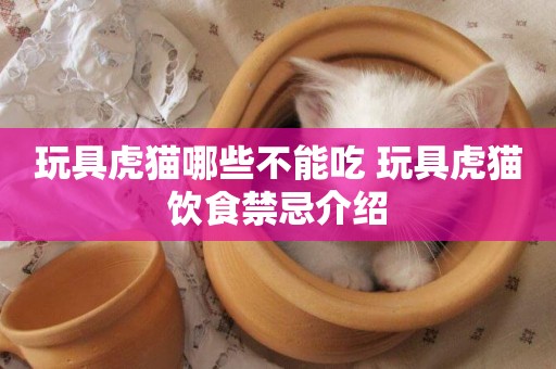 玩具虎貓哪些不能吃 玩具虎貓飲食禁忌介紹