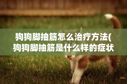 狗狗腳抽筋怎么治療方法(狗狗腳抽筋是什么樣的癥狀)