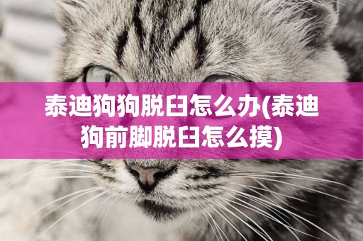 泰迪狗狗脫臼怎么辦(泰迪狗前腳脫臼怎么摸)