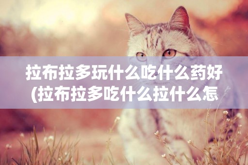 拉布拉多玩什么吃什么藥好(拉布拉多吃什么拉什么怎么辦)