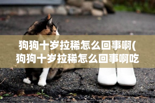 狗狗十歲拉稀怎么回事啊(狗狗十歲拉稀怎么回事啊吃啥藥)