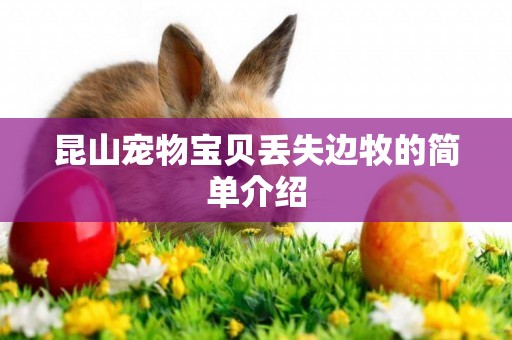 昆山寵物寶貝丟失邊牧的簡單介紹