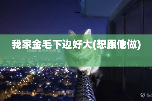 我家金毛下邊好大(想跟他做) 
