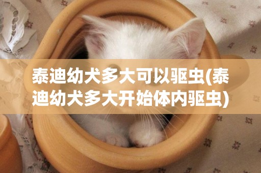 泰迪幼犬多大可以驅蟲(泰迪幼犬多大開始體內驅蟲)