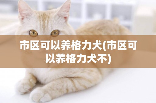 市區可以養格力犬(市區可以養格力犬不)