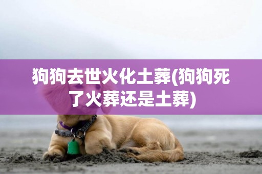 狗狗去世火化土葬(狗狗死了火葬還是土葬)