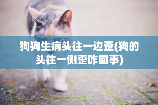 狗狗生病頭往一邊歪(狗的頭往一側歪咋回事)