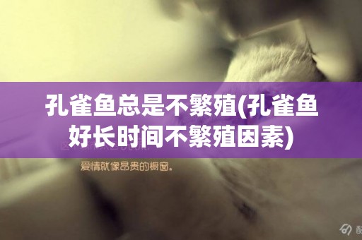 孔雀魚總是不繁殖(孔雀魚好長時間不繁殖因素)