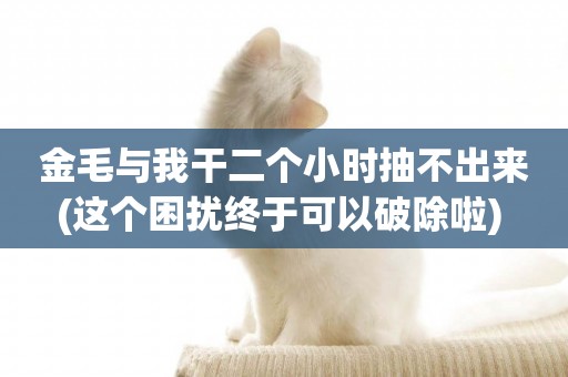 金毛與我干二個小時抽不出來(這個困擾終于可以破除啦) 