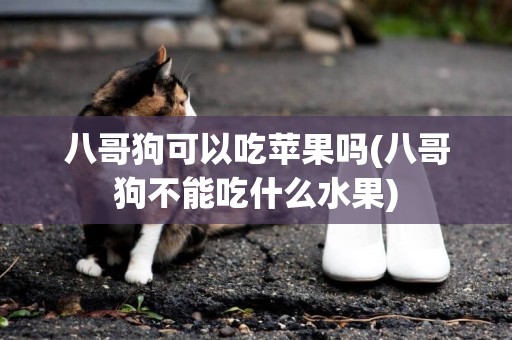 八哥狗可以吃蘋果嗎(八哥狗不能吃什么水果)